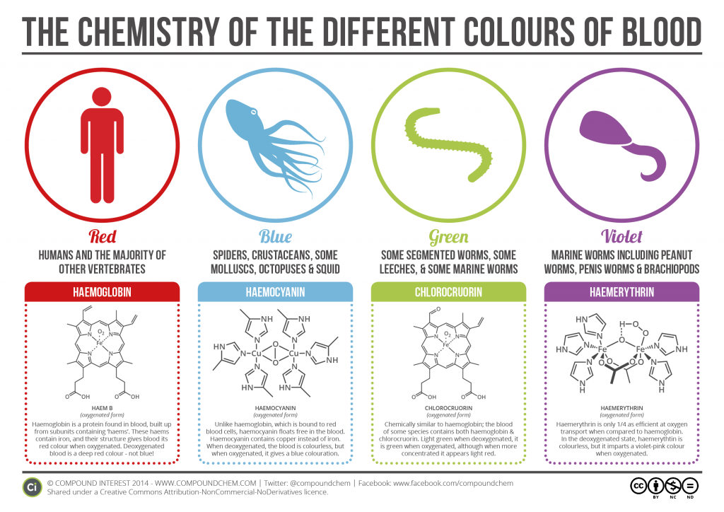Chemistry-of-Blood-Colours-v2.3